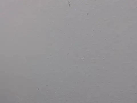 Adriana_0312