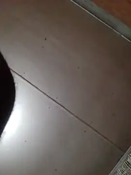 NatybeeZa webcam