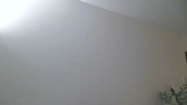 WetFlower69