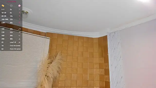 camii_raux webcam