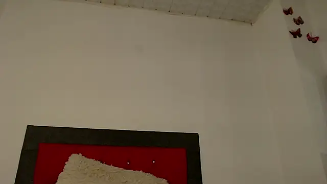 angelicatsx
