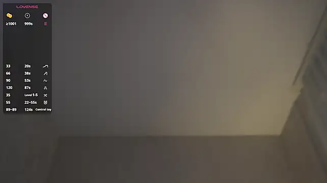 VeniceWillarie live cam preview