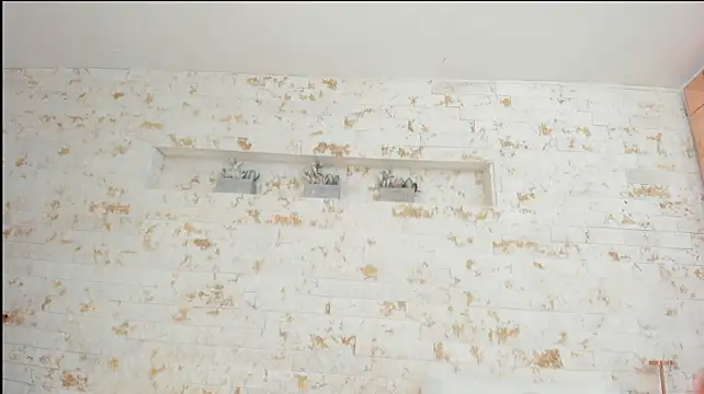 valeria_willer