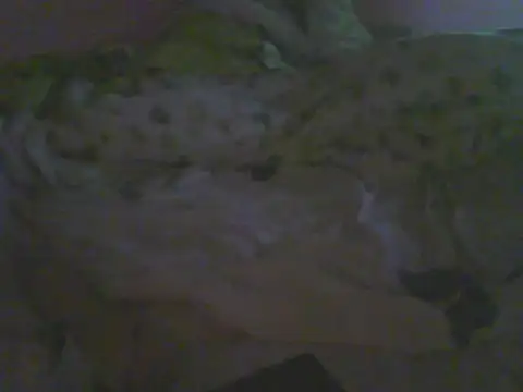 Bebita-zmp