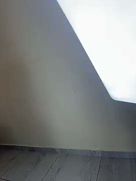 SofiaThonsonn