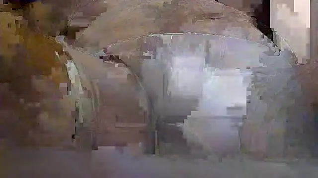 HungThickUncMax live cam preview