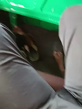 telugu_bull_hyd28