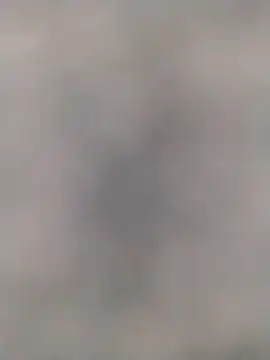 MaxSpadeErotica