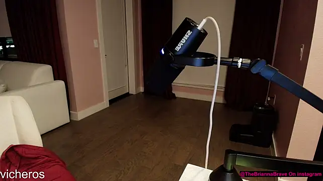 BriannaBrave