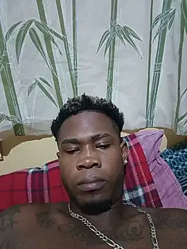 Chocoperla