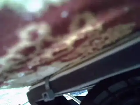 WoszLive live cam preview