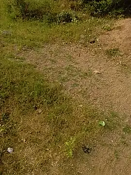 Neha_huttt