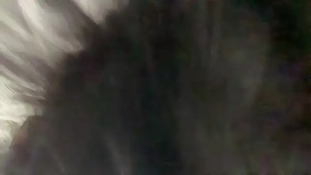 Karimfucku