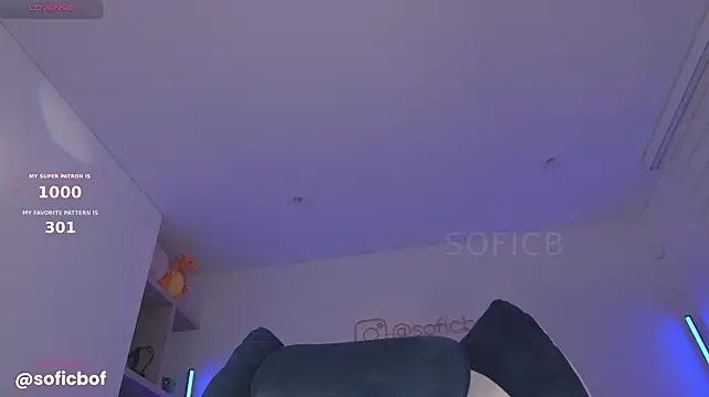 sofi_sc webcam