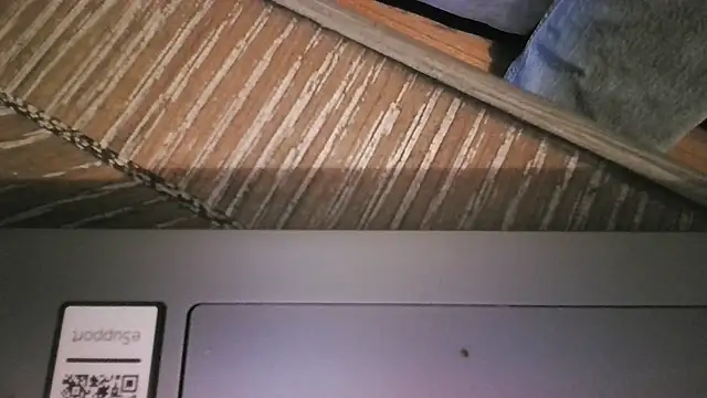 The_Real_aDDix269 live cam preview