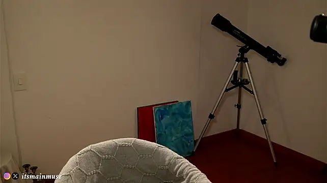 Theirismuse