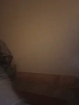 itstherealslimscotty live webcam
