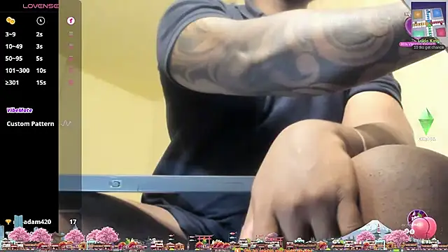 thomas_santtos1 live cam preview