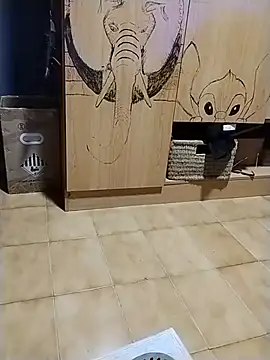 minitranca live cam preview