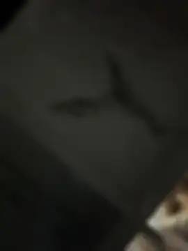 Lilith_Vera live cam preview