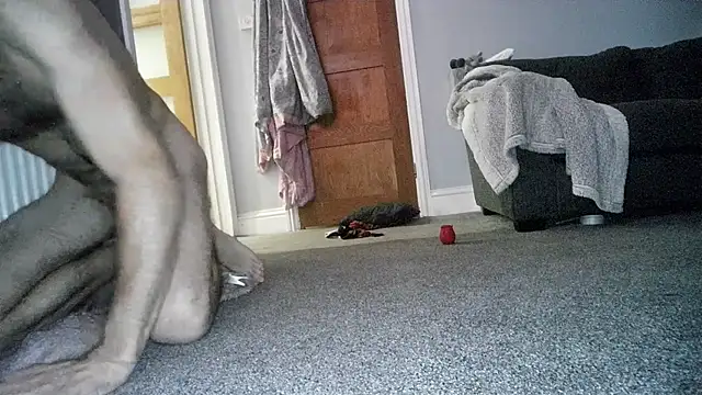 Ebjh123 live cam preview