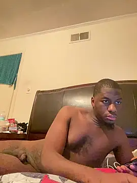 ThickDic28