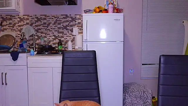 evaroyale live cam preview