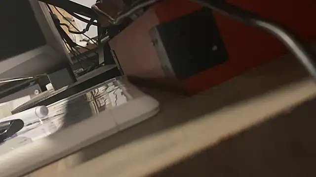 flexingplexico