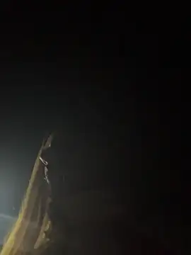 NIKI_BLONDE