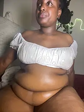Sollybunny