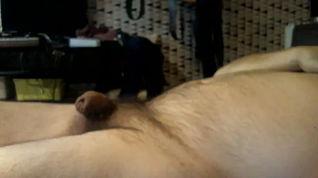 BHOT12 live cam preview