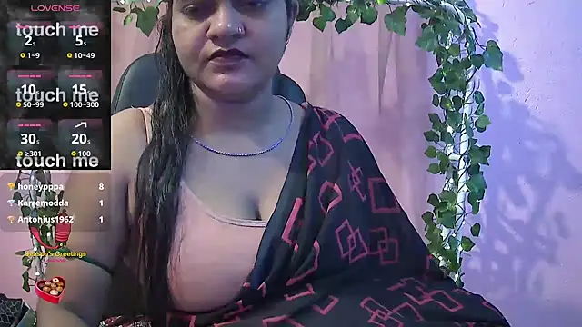 Pari-new live cam preview