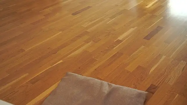 MarylynnBevil live cam preview