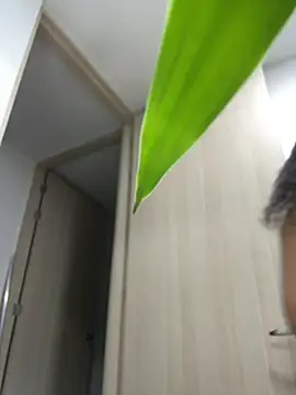 Curlyierr live sex cam