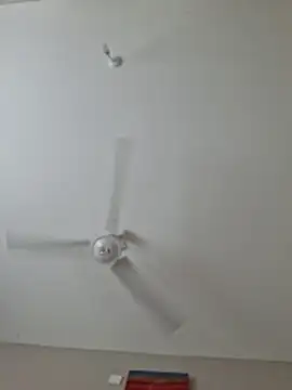 Kamdollie