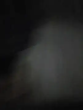 RoscoesWRLD webcam
