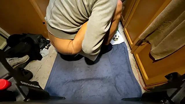 SharkedTaxis live cam preview