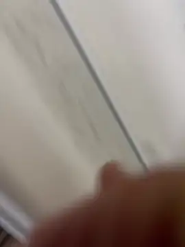 Tigeer_07 webcam