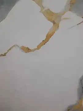 model220021 live cam preview