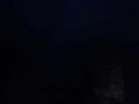 lichecris1 webcam