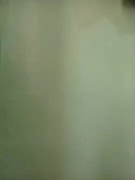 sashachin live cam preview
