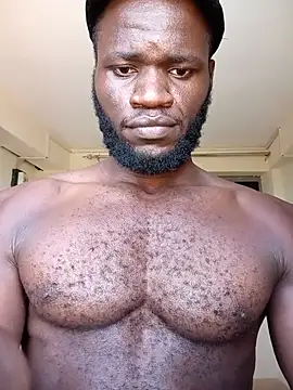 kingdev666