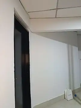 WildMatthew