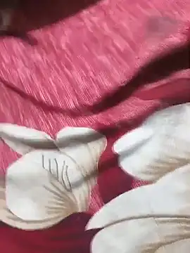 CplAnita