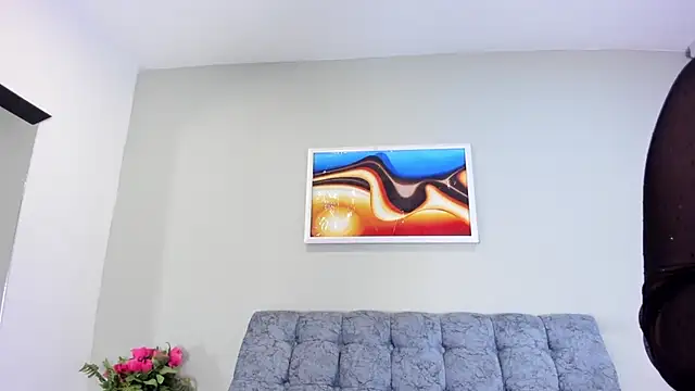 Salometys webcam