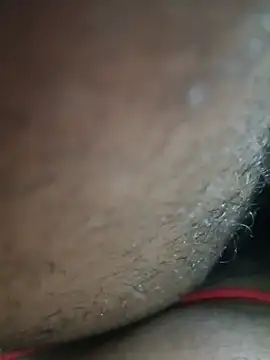 telugu_bull_hyd28