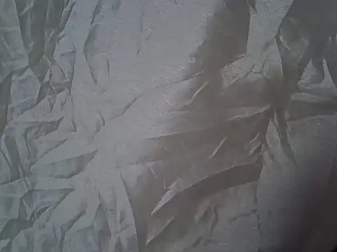 Camie_brown live cam preview