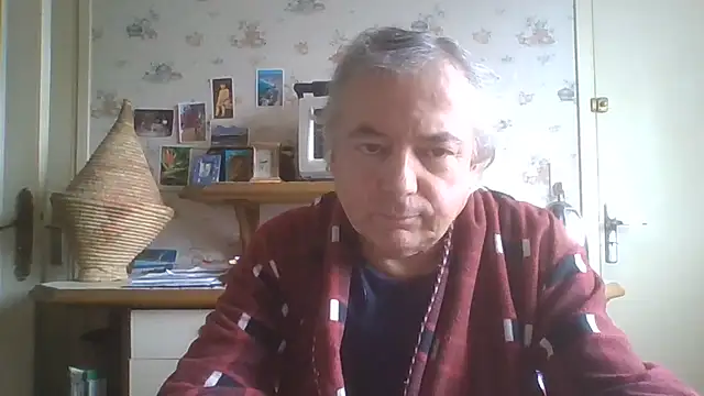 gegevincent5 webcam