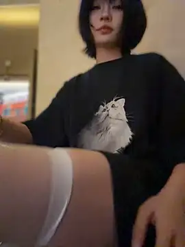 MeimoDog