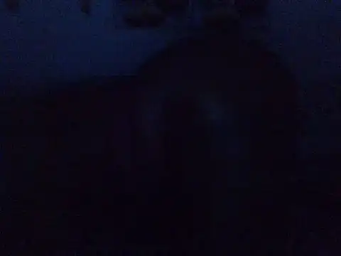 MuddledTraceryc live cam on StripChat